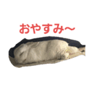 ゆる小梅スタンプ1（個別スタンプ：15）
