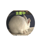 ゆる小梅スタンプ1（個別スタンプ：16）