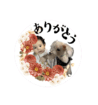 ♡cinnamon♡（個別スタンプ：7）