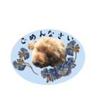 ♡cinnamon♡（個別スタンプ：8）