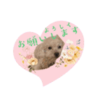♡cinnamon♡（個別スタンプ：14）
