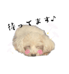 ♡cinnamon♡（個別スタンプ：15）