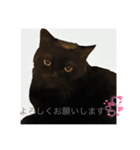 黒猫 ルナ3にゃんめ（個別スタンプ：8）