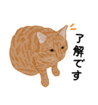 ひねもす茶とらねこ4（個別スタンプ：7）