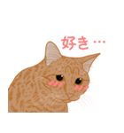 ひねもす茶とらねこ4（個別スタンプ：16）