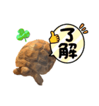 リクガメのぼんちゃん（個別スタンプ：1）