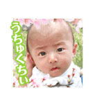 せいごとひろと 1（個別スタンプ：12）