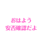 安否確認デカ文字シンプルピンク（個別スタンプ：1）