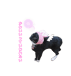 黒猫にゃんころ（個別スタンプ：4）