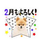 ポメラニアンもふた⑥【イベント篇】（個別スタンプ：4）