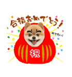 ポメラニアンもふた⑥【イベント篇】（個別スタンプ：6）