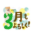 ポメラニアンもふた⑥【イベント篇】（個別スタンプ：7）