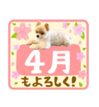 ポメラニアンもふた⑥【イベント篇】（個別スタンプ：9）