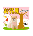 ポメラニアンもふた⑥【イベント篇】（個別スタンプ：11）