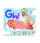 ポメラニアンもふた⑥【イベント篇】（個別スタンプ：14）