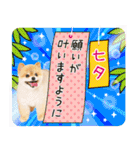 ポメラニアンもふた⑥【イベント篇】（個別スタンプ：20）