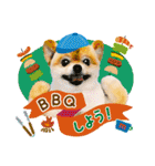 ポメラニアンもふた⑥【イベント篇】（個別スタンプ：30）