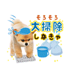 ポメラニアンもふた⑥【イベント篇】（個別スタンプ：33）