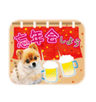 ポメラニアンもふた⑥【イベント篇】（個別スタンプ：35）