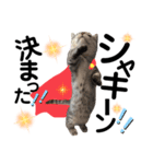 ねこの銀次くん3(ヒーローver.)（個別スタンプ：4）