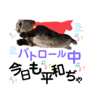 ねこの銀次くん3(ヒーローver.)（個別スタンプ：23）