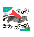 ねこの銀次くん3(ヒーローver.)（個別スタンプ：27）
