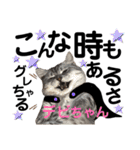 ねこの銀次くん3(ヒーローver.)（個別スタンプ：34）