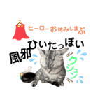 ねこの銀次くん3(ヒーローver.)（個別スタンプ：35）