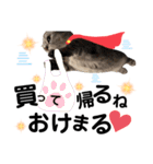 ねこの銀次くん3(ヒーローver.)（個別スタンプ：38）