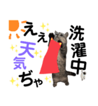 ねこの銀次くん3(ヒーローver.)（個別スタンプ：39）