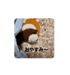 レッサーくんの1日（個別スタンプ：2）