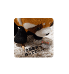 レッサーくんの1日（個別スタンプ：3）