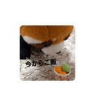 レッサーくんの1日（個別スタンプ：4）