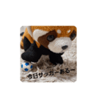レッサーくんの1日（個別スタンプ：5）