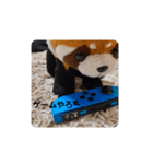 レッサーくんの1日（個別スタンプ：7）
