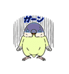 M家のコザクラインコたち 日常編2（個別スタンプ：25）