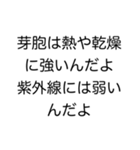 美容学生用（個別スタンプ：34）