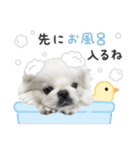 ブランちゃんのLINEスタンプ！！2（個別スタンプ：7）