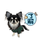 ★OREO★（個別スタンプ：1）