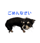 ★OREO★（個別スタンプ：2）