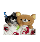 ★OREO★（個別スタンプ：4）