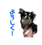 ★OREO★（個別スタンプ：7）