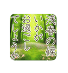 季語のある丁寧な挨拶（3～5月）（個別スタンプ：1）