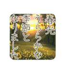 季語のある丁寧な挨拶（3～5月）（個別スタンプ：8）