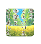 季語のある丁寧な挨拶（3～5月）（個別スタンプ：14）