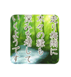 季語のある丁寧な挨拶（3～5月）（個別スタンプ：20）