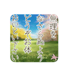 季語のある丁寧な挨拶（3～5月）（個別スタンプ：23）