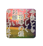 季語のある丁寧な挨拶（3～5月）（個別スタンプ：24）