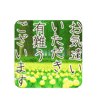 季語のある丁寧な挨拶（3～5月）（個別スタンプ：31）