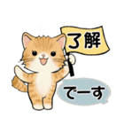ラブリー猫さん ♡ 日常基本編（個別スタンプ：5）